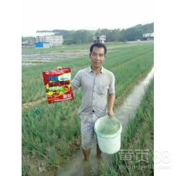 【為峰肥業(yè)膨果鉀寶,高含量沃根膨果鉀寶廠(chǎng)家直銷(xiāo)】- 